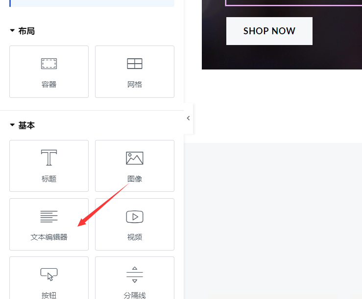 E1ementor中的文本编辑器组件如何使用?